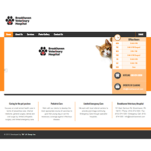 Brookhaven Veterinary Hospital, a website made by the Philadelphia area web development company TAF JK Group Inc.